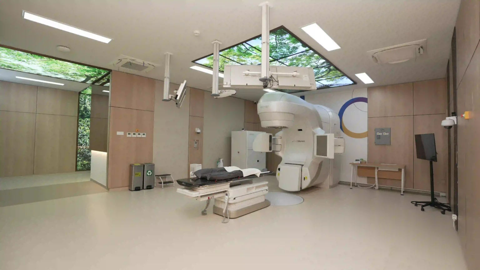 Dental Implants in Bali: Straumann vs Nobel Biocare
